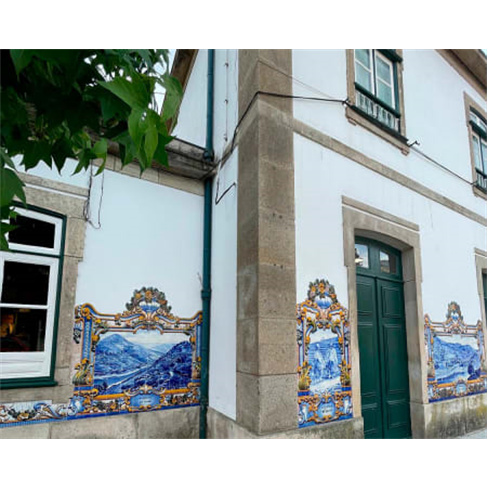 Descobre o Douro: Régua ao Tua c/ Prova de Vinhos e Barco (55 caracteres)