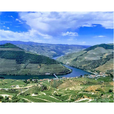 Descoberta do Douro: Tour Auto-Guiado c/ Prova de Vinhos e Barco da Régua ao Tu
