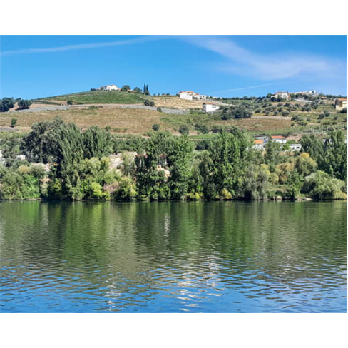 Descoberta do Douro: Tour Auto-Guiado c/ Prova de Vinhos e Barco da Régua ao Tu