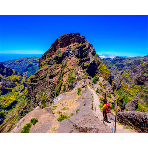 Descubra a Zona Este da Ilha da Madeira em 8 horas! Bilhete de Criança Oferta.