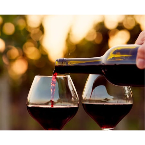 Descobre o Douro: Régua ao Tua c/ Prova de Vinhos e Barco (55 caracteres)