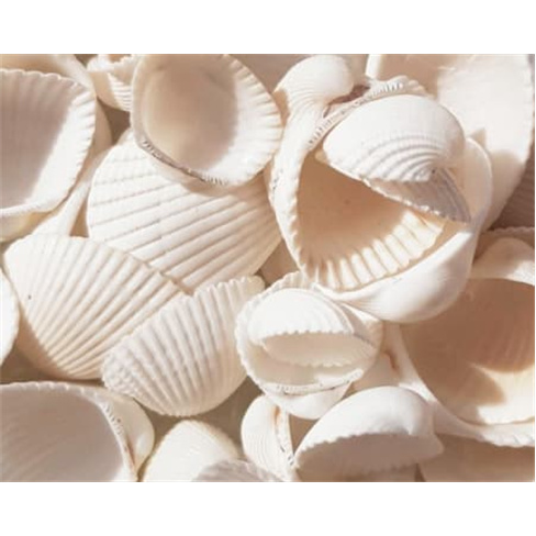 Spa a Dois no White Shell Beach Villas 4* - Porches: Massagem & Facial.