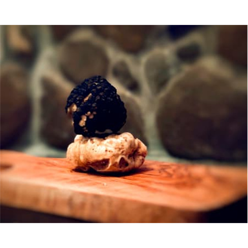 Experiência VIP: Caça às Trufas com Degustação | Truffle Hunter Italy