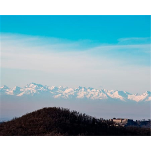 Caça e Prova de Trufas de Luxo VIP | Truffle Hunter Italy - Itália