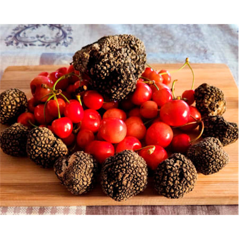 Experiência VIP: Caça às Trufas com Degustação | Truffle Hunter Italy