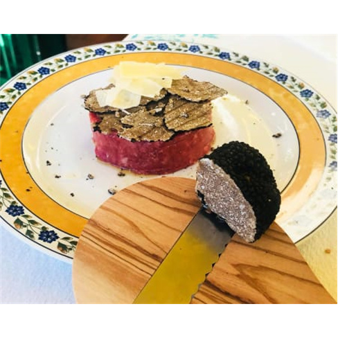 Experiência VIP: Caça às Trufas com Degustação | Truffle Hunter Italy