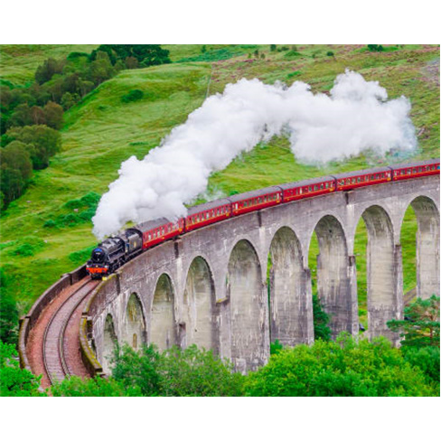 Tour Harry Potter Porto Família - 15 caracteres (incluindo espaços)