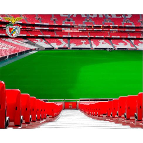 Visita ao Museu e Estádio do SLB com Oferta Especial!