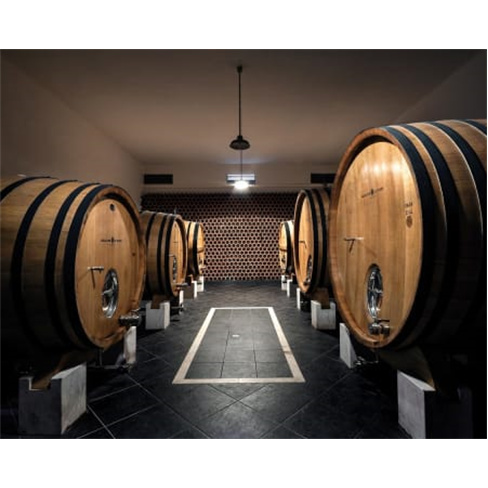 Adega de Borba: 2 Vinhos de Talha + Prova + Petiscos | Alentejonn(50 caractere