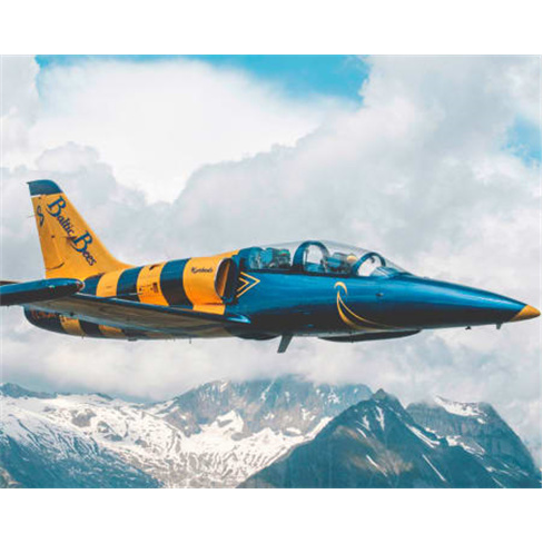 Experiência VIP: Voe sobre os Alpes Suíços num Jacto L-39 Albatros | Migflug
