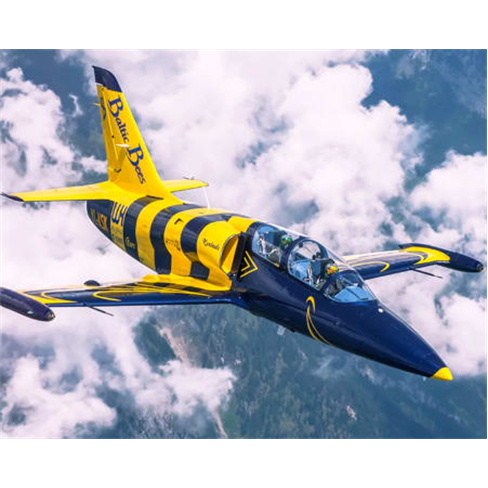 Experiência VIP: Voo de 35 Minutos em Jacto L-39 Albatros em Riga | Letónia