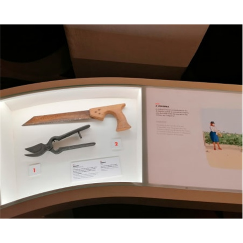 Descobre a Casa Museu de Borba com Jantar Regional e Cante Alentejano