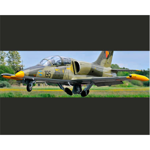 Voo Acrobático VIP: L-39 Albatros na República ChecanTotal de caracteres: 56