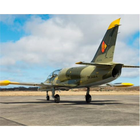 Voo Acrobático VIP: L-39 Albatros na República ChecanTotal de caracteres: 56