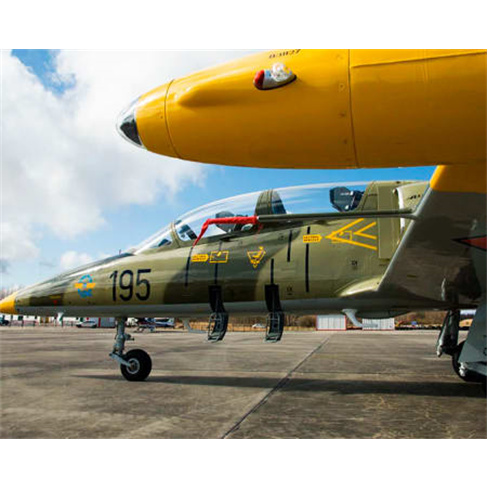 Experiência VIP: Voo em Jato L-39 Albatros na Flórida | EUA (77 caracteres)