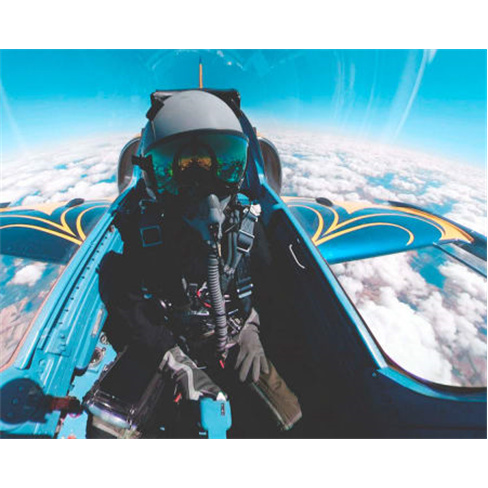 Experiência VIP: Voe sobre os Alpes Suíços num Jacto L-39 Albatros | Migflug