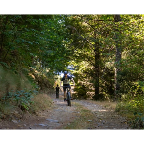 Passeio de Ebike na Serra da Estrela p/ Casal | Tour Privado (53 caracteres)