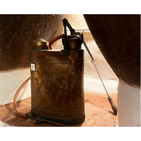 Visita à Casa Museu Interativa de Borba: Petisco e Cante Alentejano | Alentejo
