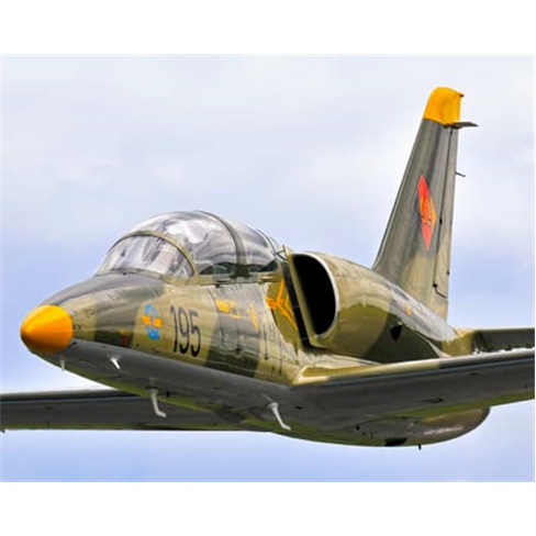 Voo Exclusivo em Jacto L-39 Albatros na Califórnia | EUA. (55 caracteres)