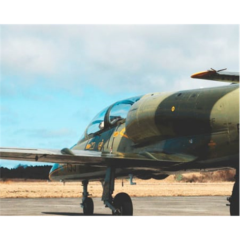 Experiência VIP: Voo em Jato L-39 Albatros na Flórida | EUA (77 caracteres)
