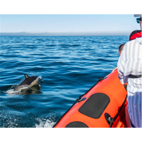 Passeio Lancha | 4Seas em Cascais | Bilhete Criança | 1h | EstennCarateres: 5