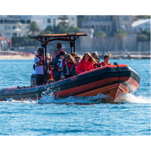 Passeio de lancha rápida em Cascais | Bilhete Adulto 1 hora | Rota Oeste