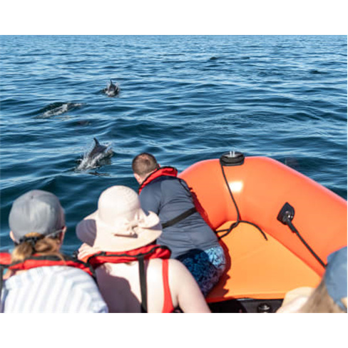 Passeio de lancha rápida em Cascais | Bilhete Adulto 1 hora | Rota Oeste