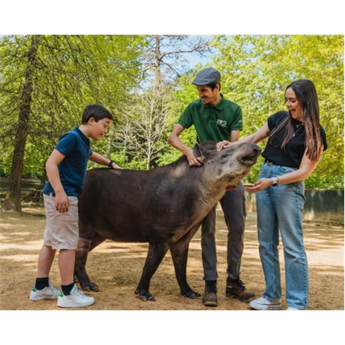 Visita VIP Tratadores + Habitats | Zoo Santo Inácio | V.N. Gaian(55 caracteres