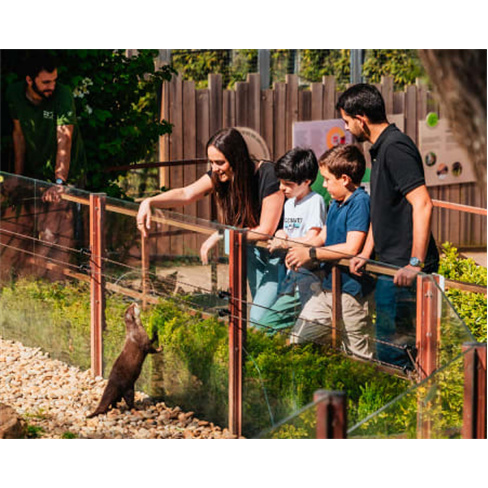 Visita VIP Zoo Santo Inácio + Habitats | V. N. Gaia | 1 Pessoa (62 caracteres)