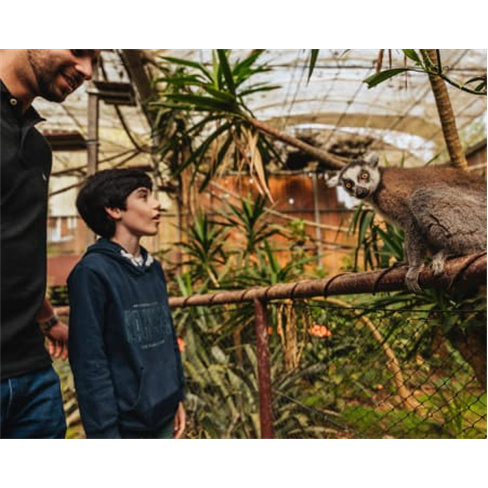 Zoo Santo Inácio VIP: Tratadores + Habitats | 2 Pessoa