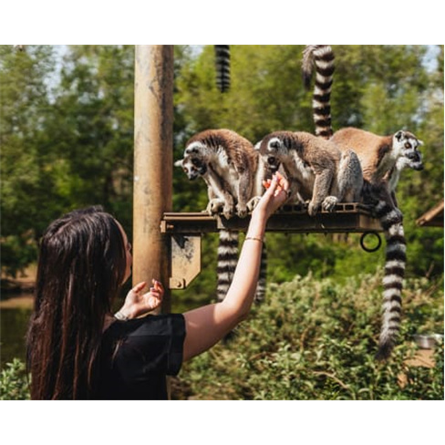 Zoo Santo Inácio VIP: Tratadores + Habitats | 2 Pessoa