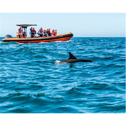 Passeio Lancha | 4Seas em Cascais | Bilhete Criança | 1h | EstennCarateres: 5