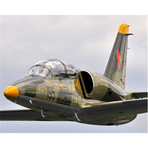 Loopings VIP em Paderborn: Voo Acrobático no L-39 Albatros. (49 caracteres)