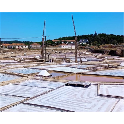 Descobre Salinas de Rio Maior | Tradição com 800 Anos! Criança (4-12 Anos)