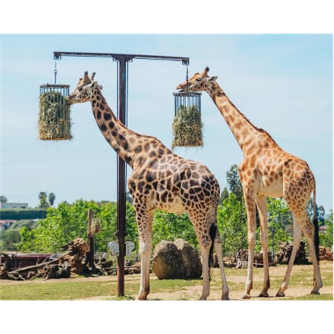 Zoo Santo Inácio VIP: Tratadores + Habitats | 2 Pessoa