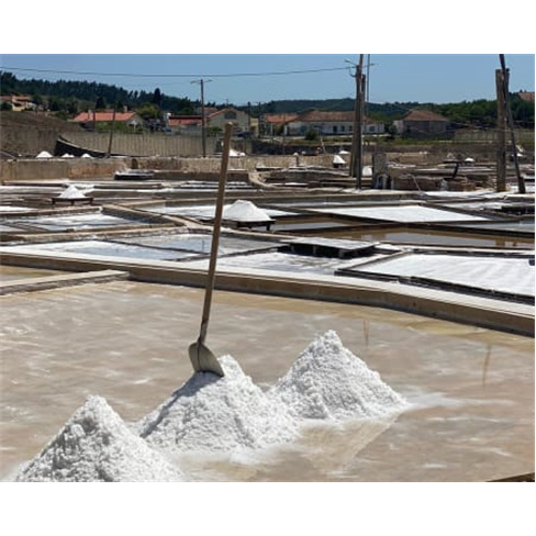 Visita Guiada às Salinas de Rio Maior | Tradição com 800 Anos! Adulto (+13 An