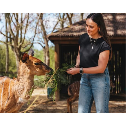 Visita VIP Zoo Santo Inácio + Habitats | V. N. Gaia | 1 Pessoa (62 caracteres)