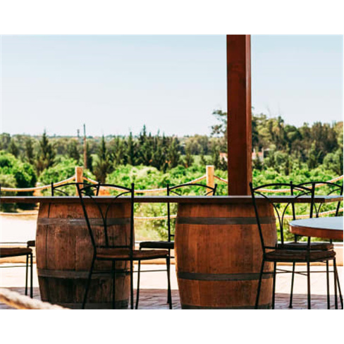 Prova de Vinhos no Algarve a Dois | Villa Alvor com Degustação Premium