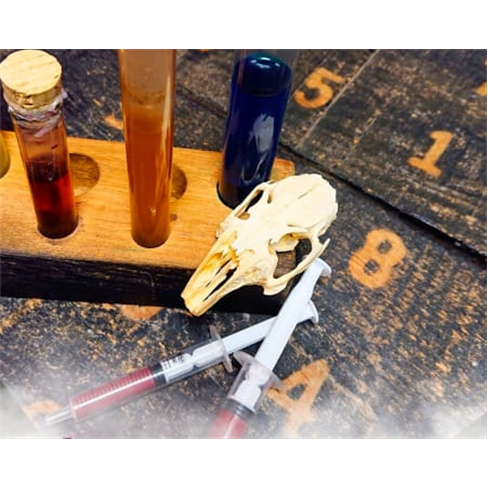 Escape Game à Escolha | Escape One Algarve - Portimão Até 5 Pessoas