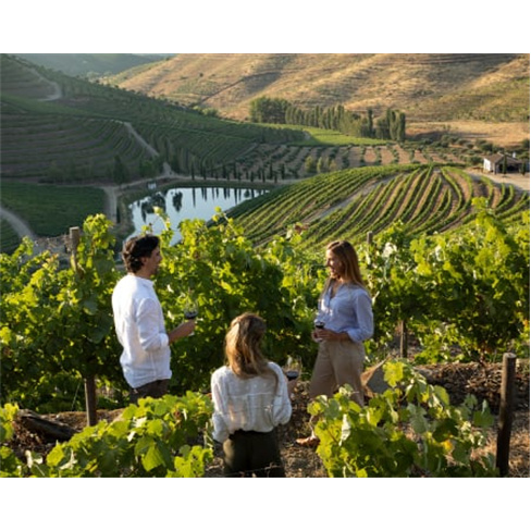 Prova de Vinhos no Douro a Dois | Vale D. Mariann(O título tem 39 caracteres)