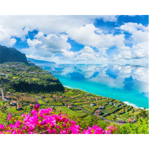 Descobre Madeira em 1 Dia | Feeling Madeira Tour