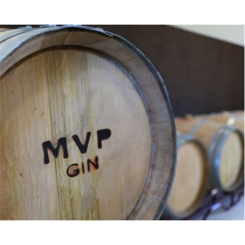 Descobre o 1.º Gin do Ribatejo! Tour e Prova de Gins na Destilaria em Santarém