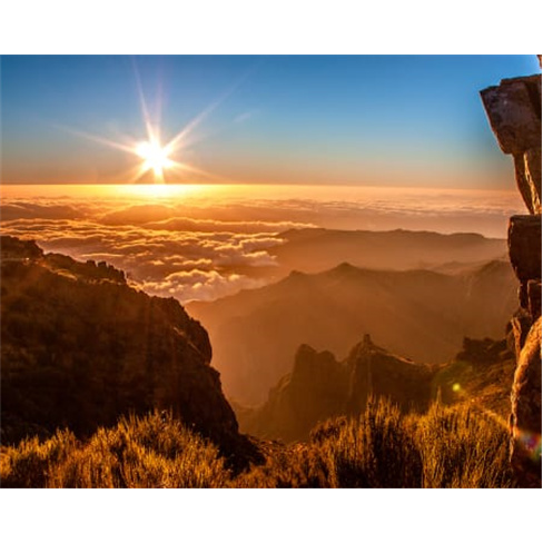 Tour de 1 Dia na Madeira | Feeling Madeira Tour - Funchal Este. (65 caracteres)