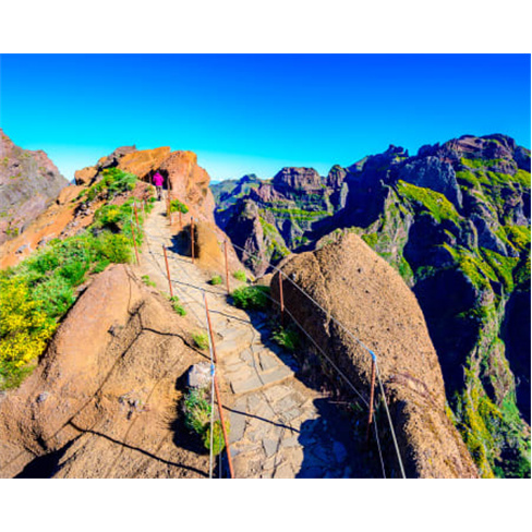 Descobre Madeira em 1 Dia | Feeling Madeira Tour