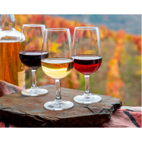 Descobre o Douro a Dois: Visita e Prova de Vinhos na Quinta dos Lagares em Alij