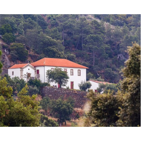 Visita e Prova de Vinhos a Dois no Douro - Quinta dos Lagares (67 caracteres)