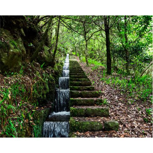 Tour de 1 Dia na Madeira | Feeling Madeira Tour - Funchal Este. (65 caracteres)