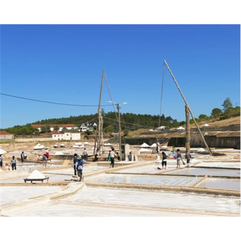 Visita Guiada às Salinas de Rio Maior | Tradição com 800 Anos! Adulto (+13 An