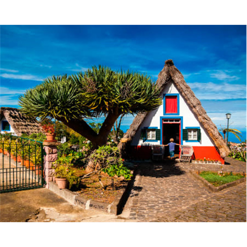 Tour de 1 Dia na Madeira | Feeling Madeira Tour - Funchal Este. (65 caracteres)
