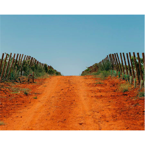 Prova de Vinhos no Algarve a Dois | Villa Alvor com Degustação Premium